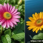 외환관리사와 외환 거래 성공 사례 - Here are three detailed image generation prompts in English, adhering to all guidelines: