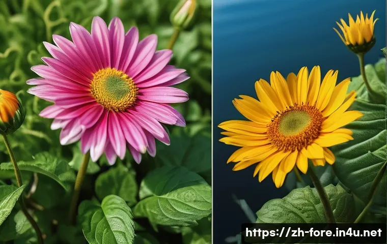 외환관리사와 외환 거래 성공 사례 - Here are three detailed image generation prompts in English, adhering to all guidelines: